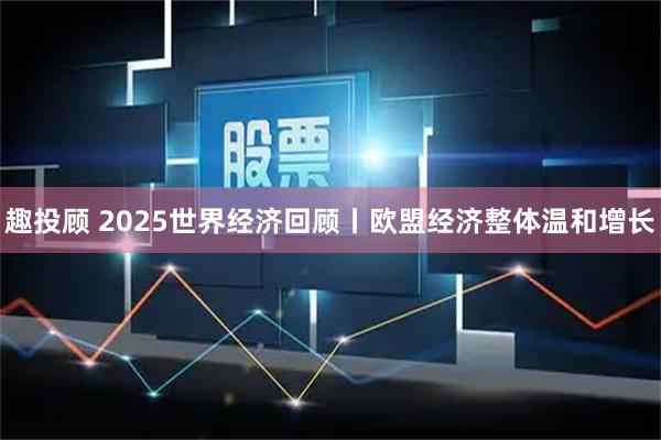 趣投顾 2025世界经济回顾丨欧盟经济整体温和增长