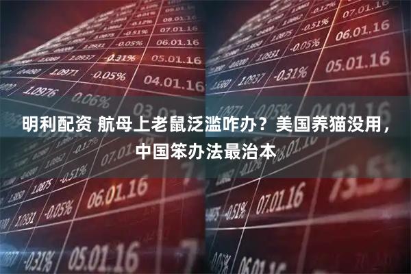 明利配资 航母上老鼠泛滥咋办？美国养猫没用，中国笨办法最治本