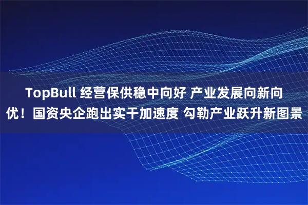 TopBull 经营保供稳中向好 产业发展向新向优！国资央企跑出实干加速度 勾勒产业跃升新图景