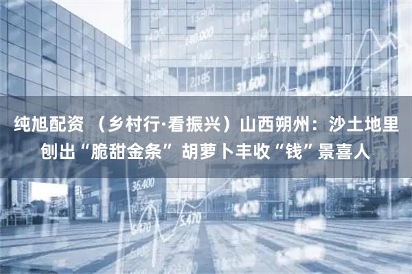 纯旭配资 （乡村行·看振兴）山西朔州：沙土地里刨出“脆甜金条” 胡萝卜丰收“钱”景喜人